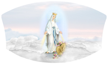 DNSWILL 113 Lady of the Miraculous Medal B